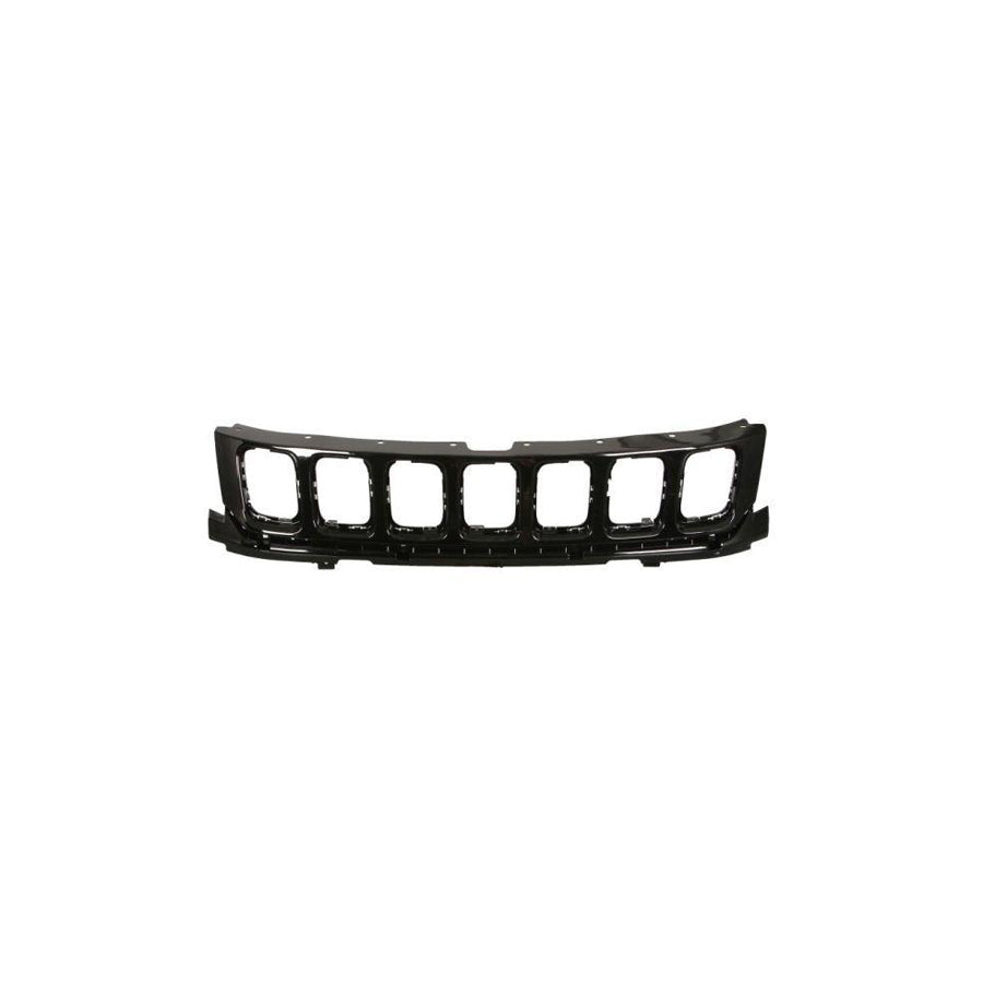 Blic 6502-07-3217993P Radiator Grille
