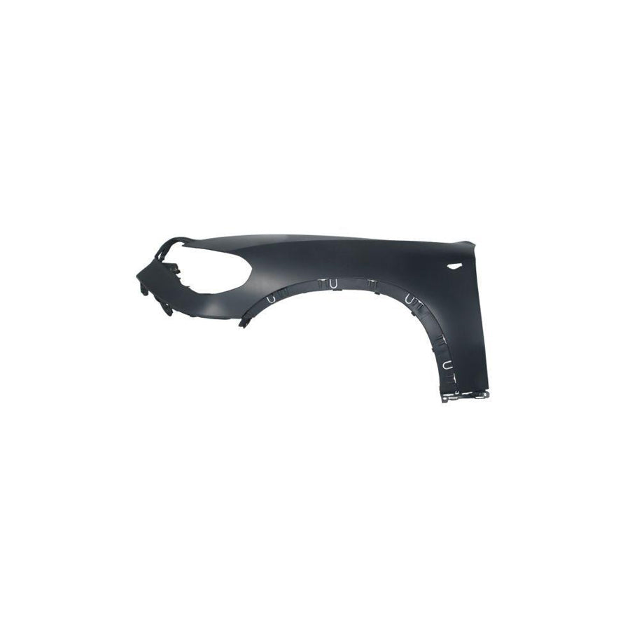 Blic 6504-04-0096315P Wing Fender for BMW X5 (E70)