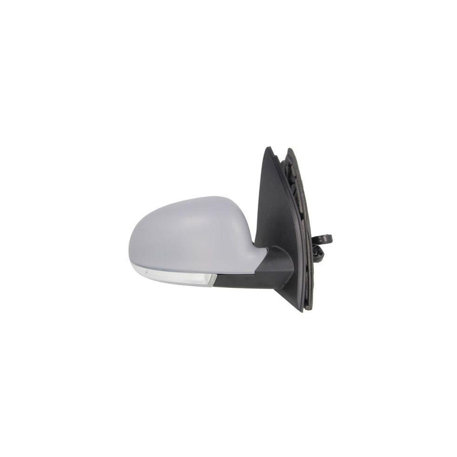 Blic 5402-01-2002626P Wing Mirror for VW Golf