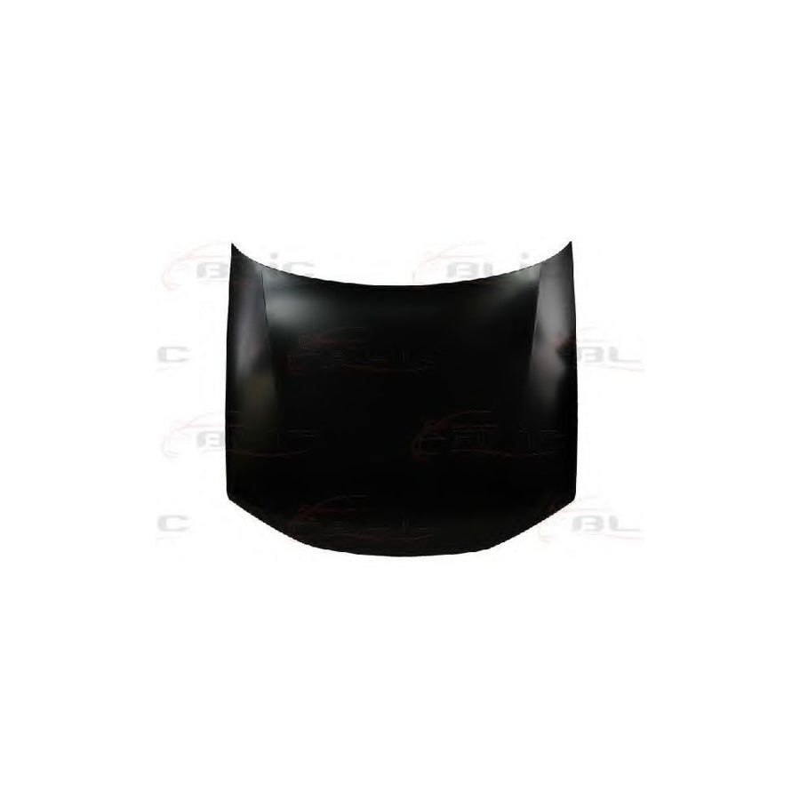 Blic 6803-00-5536280P Bonnet for Peugeot 406