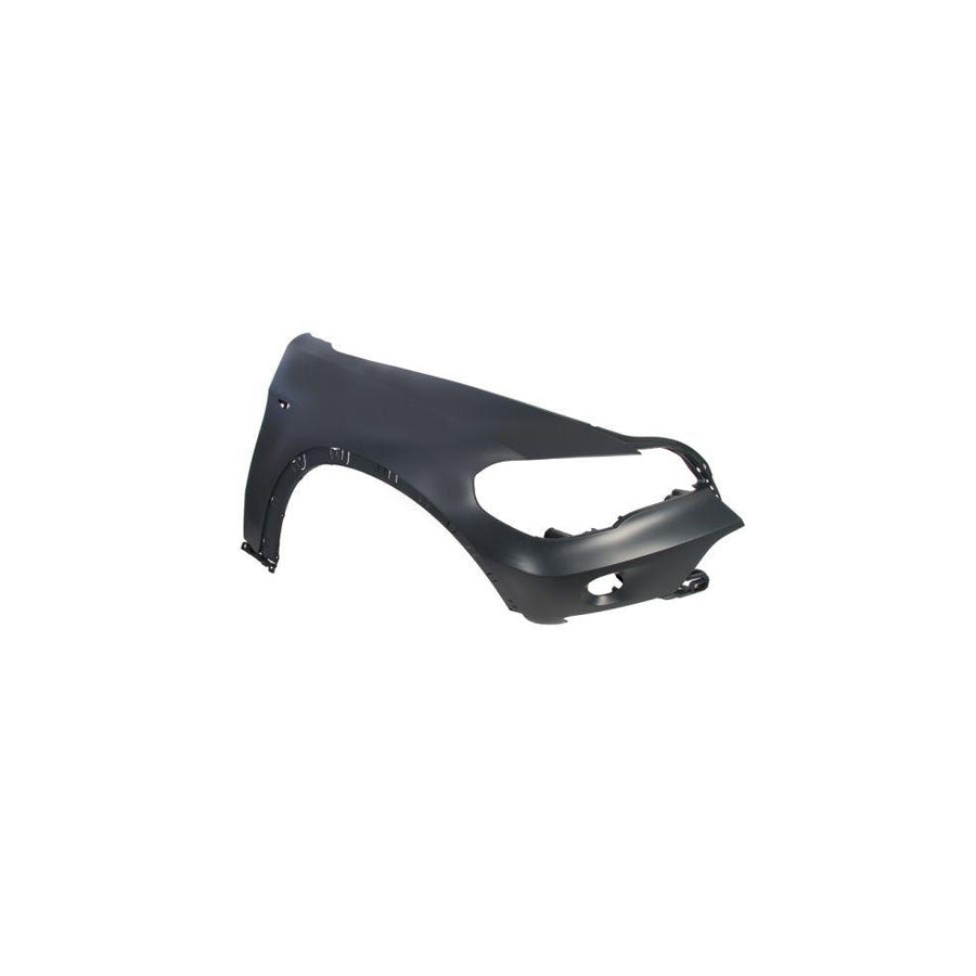 Blic 6504-04-0096314P Wing Fender for BMW X5 (E70)