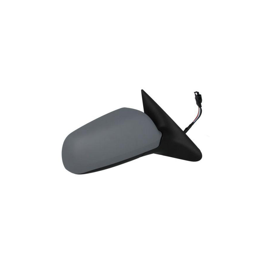 Blic 5402-04-1122521P Wing Mirror for Skoda Octavia