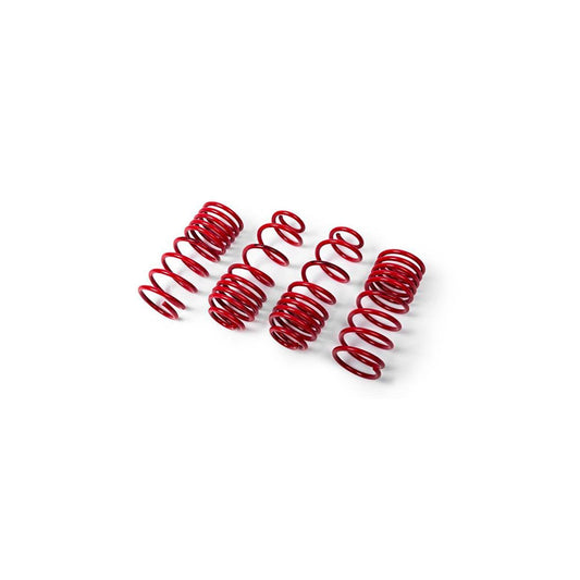 MTS Technik Ford Performance Springs - MTSXFO162 Lowering Springs - Set | ML Performance UK Car Parts