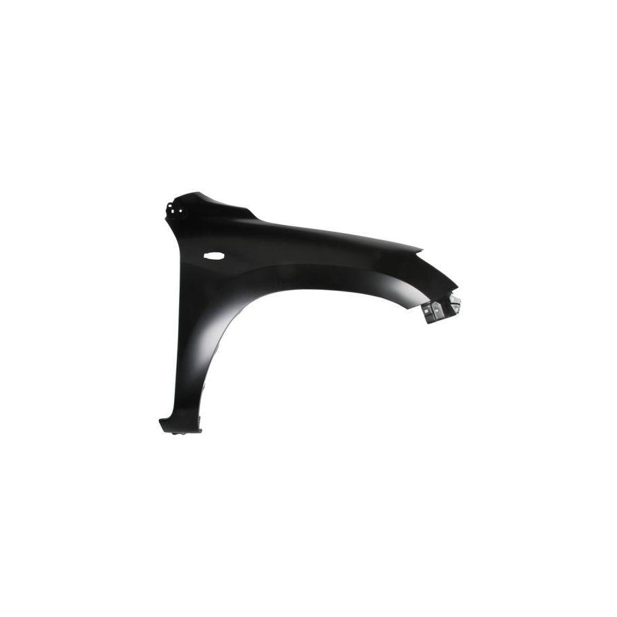 Blic 6504-04-8179316P Wing Fender for Toyota Rav4 III Off-Road (Xa30)