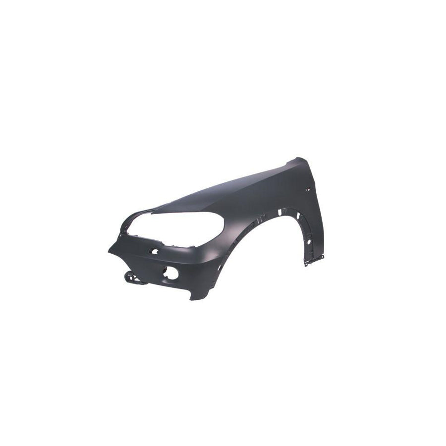 Blic 6504-04-0096311P Wing Fender for BMW X5 (E70)