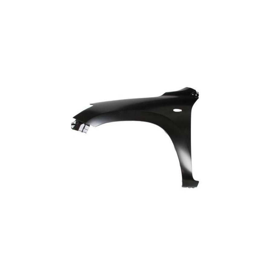 Blic 6504-04-8179315P Wing Fender for Toyota Rav4 III Off-Road (Xa30)