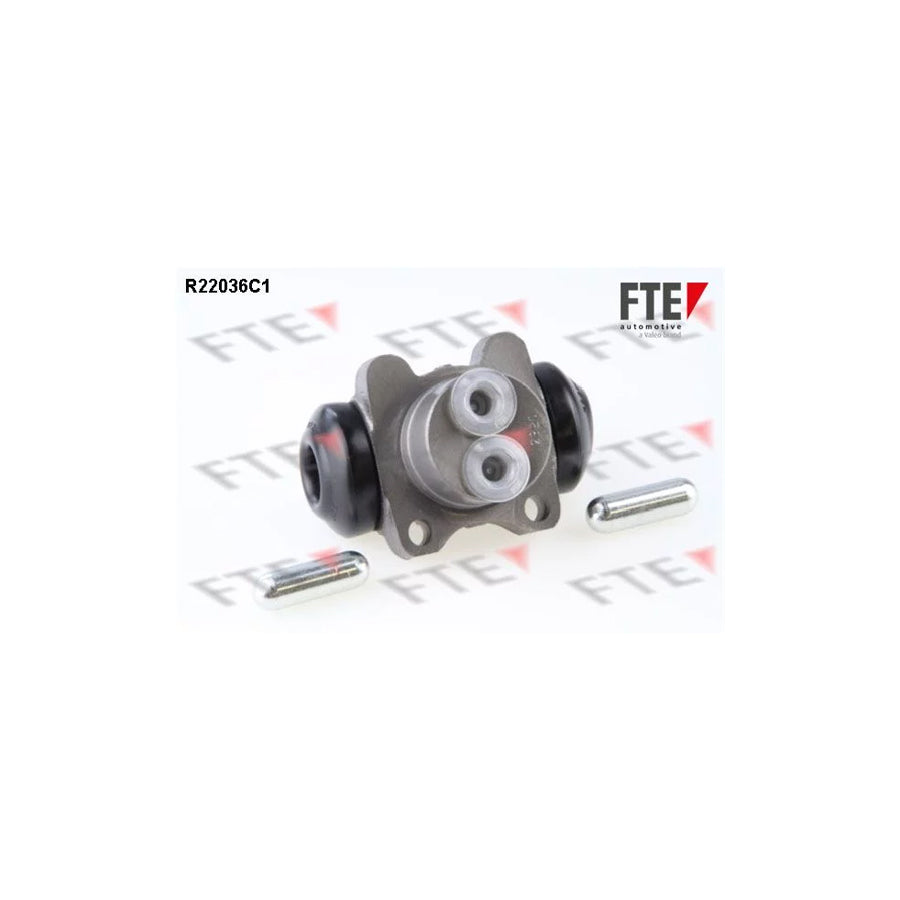 FTE R22036C1 Wheel Brake Cylinder