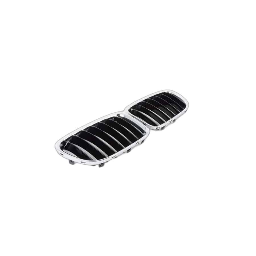 Genuine BMW 51117347670 E84 Set Of Trim Grills, Front SPORTLINE (Inc. X1 20dX, X1 25iX & X1 35iX)