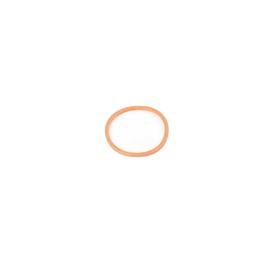 Genuine BMW 11657850066 F82 F87 O-Ring (Inc. M4 GTS, M4 CS & M3)