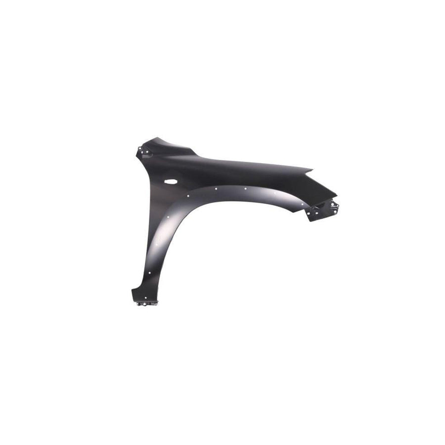 Blic 6504-04-8179314Q Wing Fender for Toyota Rav4 III Off-Road (Xa30)