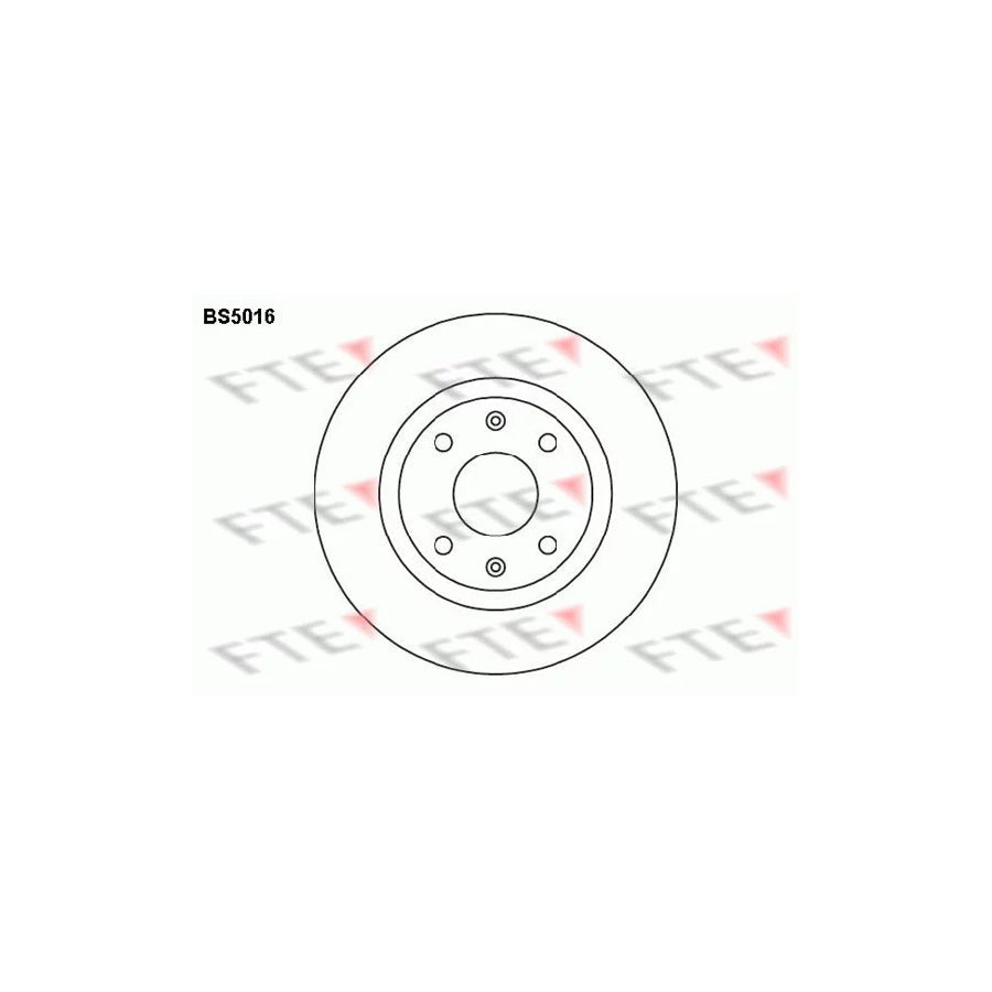 FTE Bs5016 Brake Disc