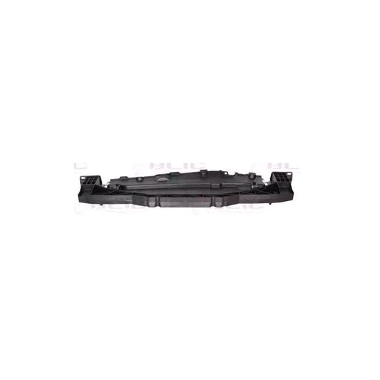 Blic 5502-00-5508941P Bumper Reinforcement for Peugeot 207