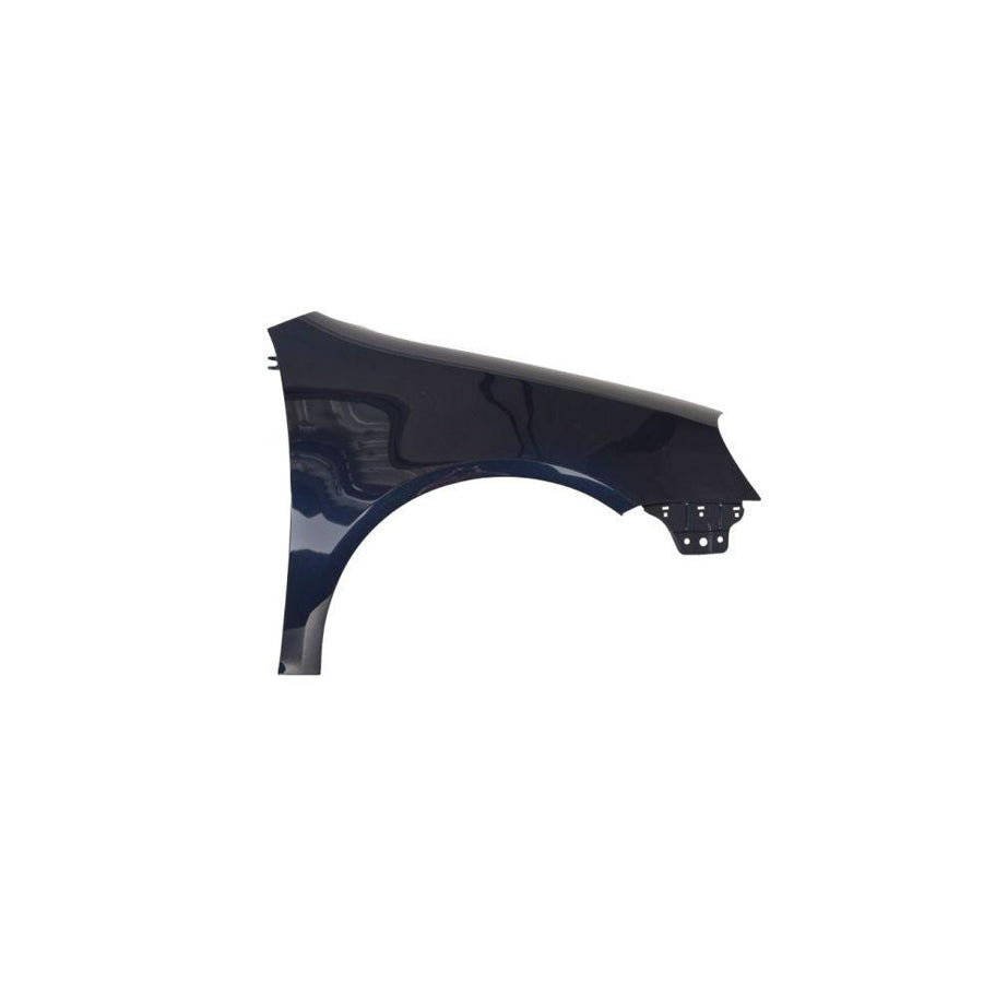 Blic 6601-01-0038802P Repair Panel for Audi A5
