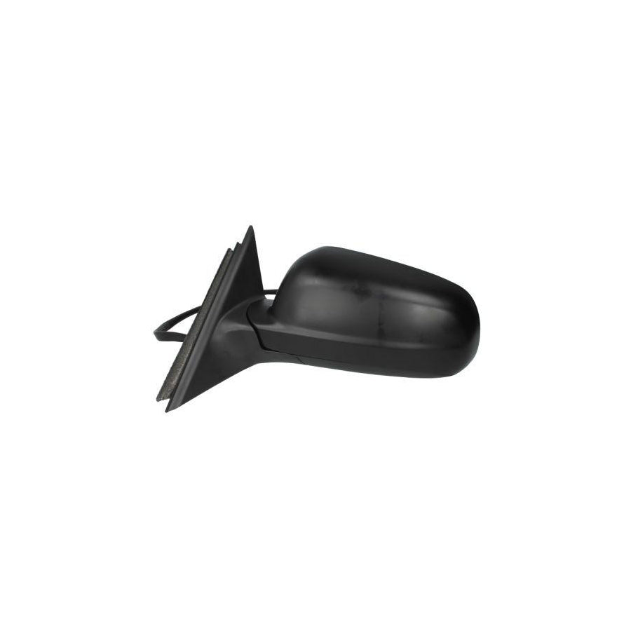 Blic 5402-04-1125111 Wing Mirror for VW Passat