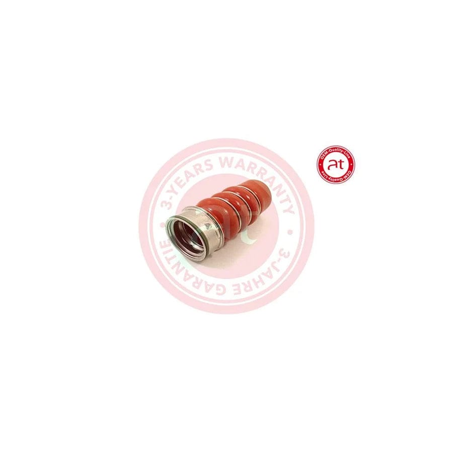 at autoteile germany At22437 Charger Intake Hose for BMW 3 Series