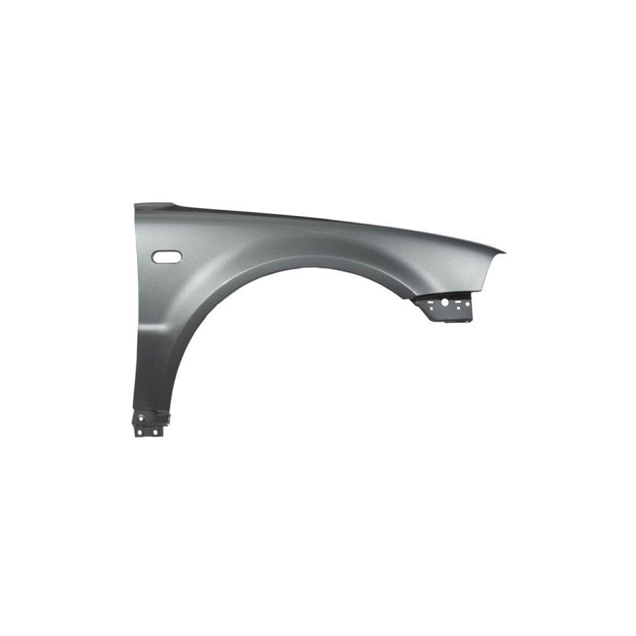 Blic 6601-01-0058808P Repair Panel For BMW 5 Series