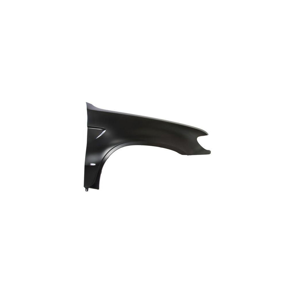 Blic 6504-04-0095312P Wing Fender for BMW X5 (E53)