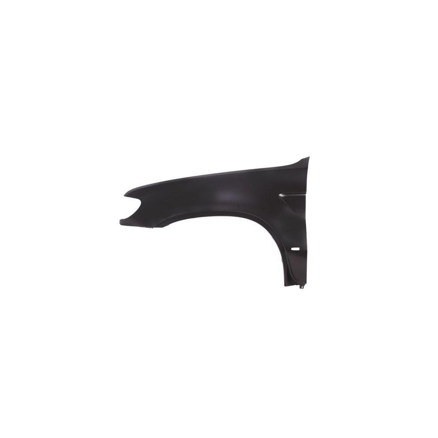 Blic 6504-04-0095311P Wing Fender for BMW X5 (E53)