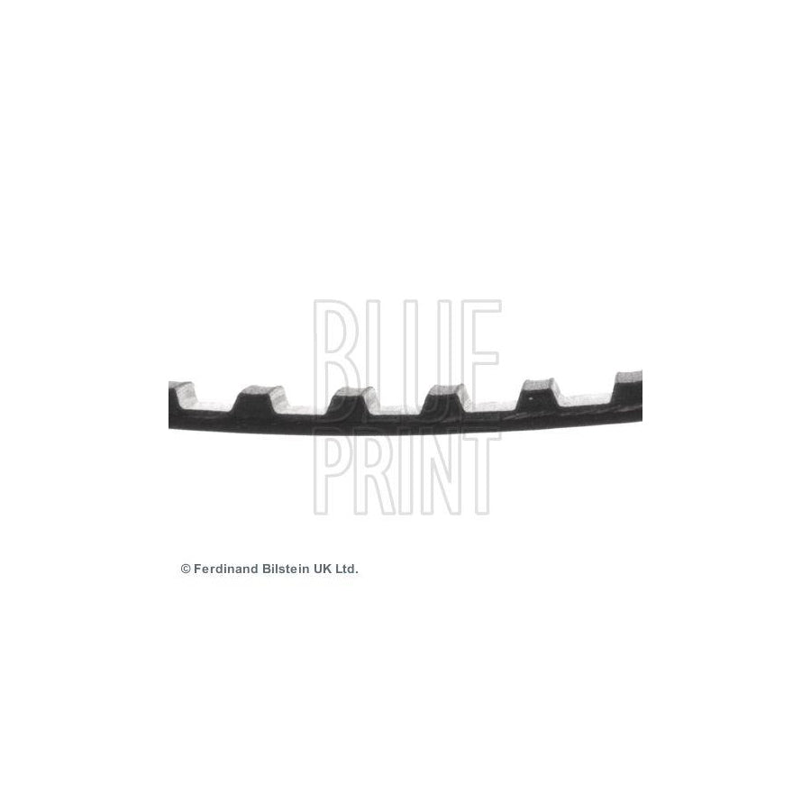 Blue Print Adh27501 Timing Belt
