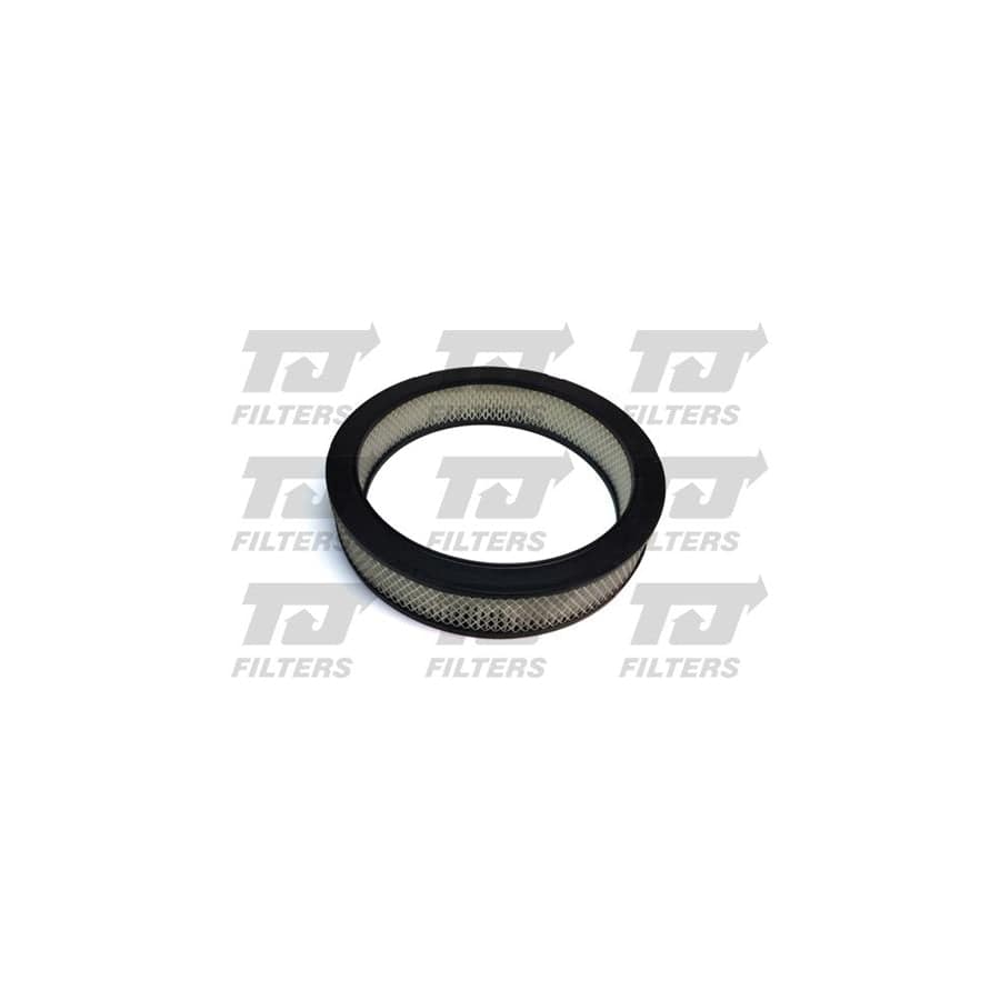 Quinton Hazell QFA0329 Air Filter
