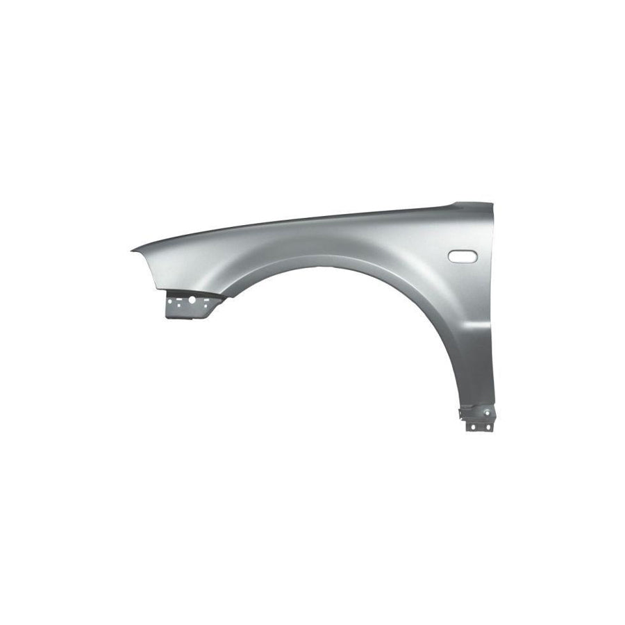 Blic 6601-01-0058803P Repair Panel For BMW 5 Series