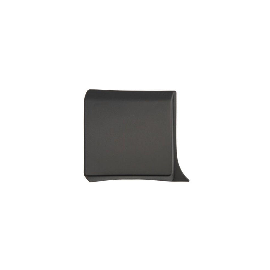Blic 5703-04-6063582Pp Trim / Protective Strip, Mudguard