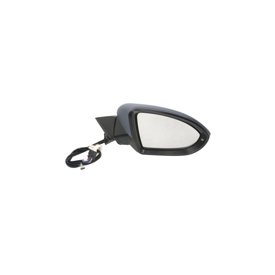 Blic 5402-01-2002654P Wing Mirror for VW Golf