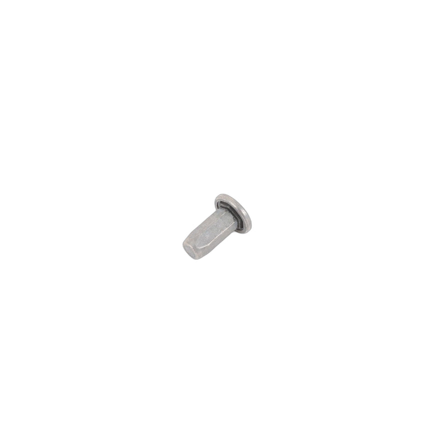 Genuine BMW Mini 07149174618 F04 F12 G05 Blind Rivet Nut, Flat Headed M6 (Inc. JCW ALL4)