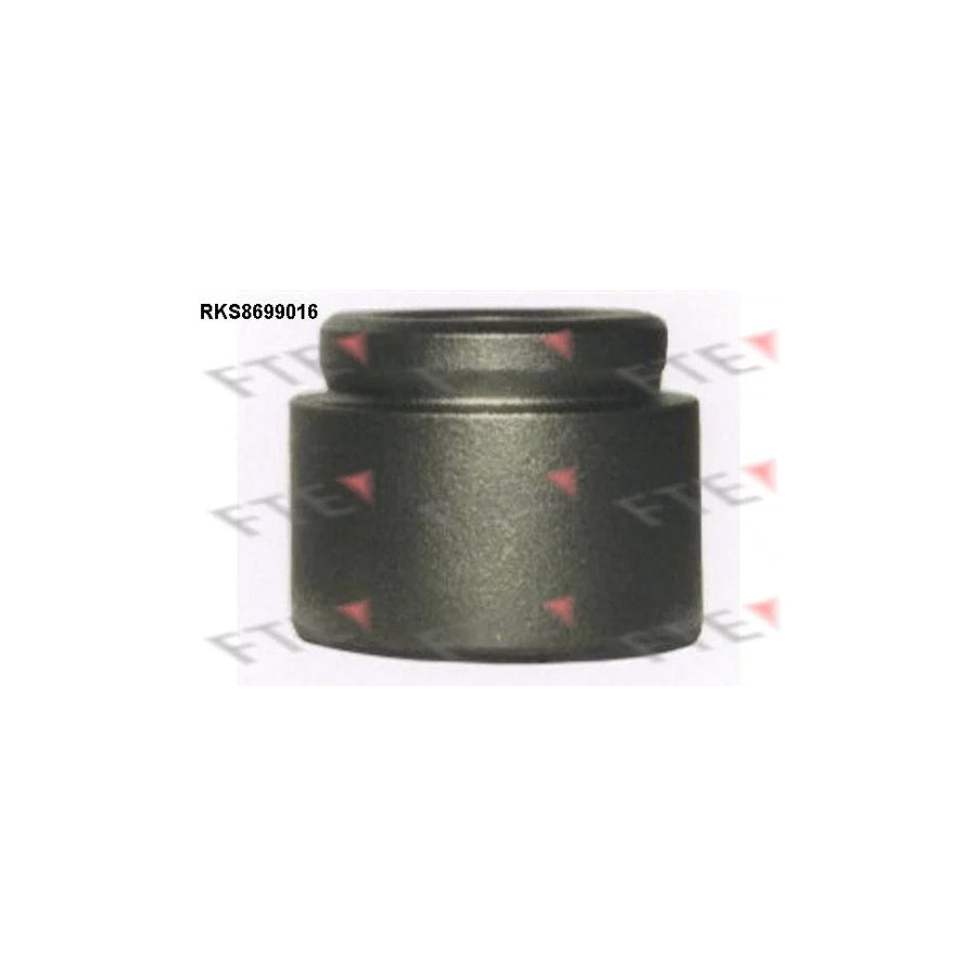 FTE Rks8699016 Piston, Brake Caliper