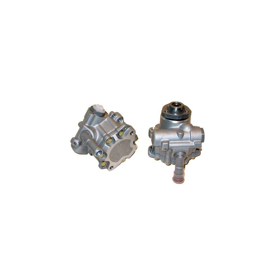 BUGIAD Bsp23064 Power Steering Pump