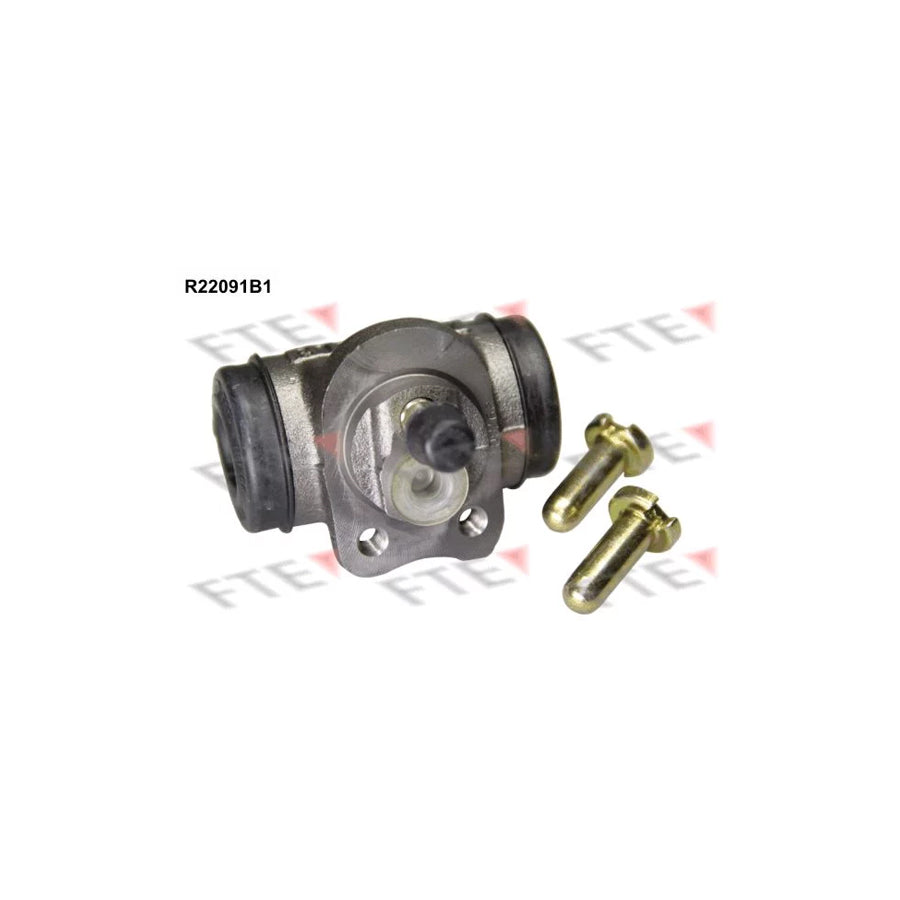 FTE R22091B1 Wheel Brake Cylinder