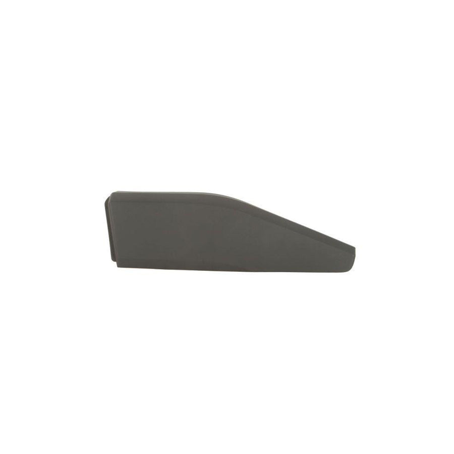 Blic 5703-04-8182573P Door Molding for Toyota C-Hr (Ax10)