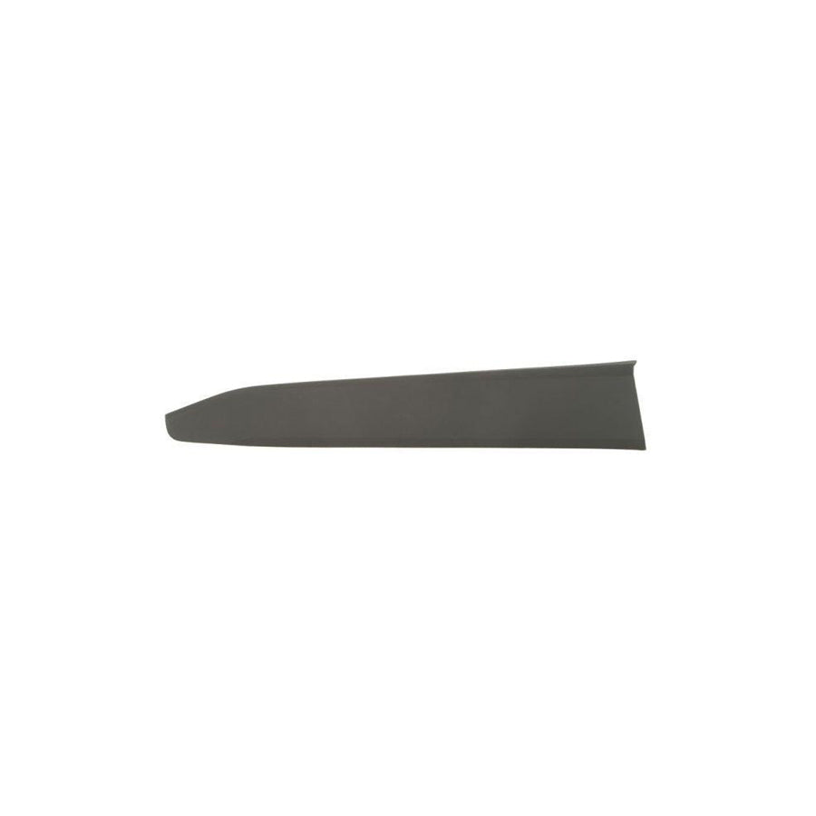 Blic 5703-04-8182571P Door Molding for Toyota C-Hr (Ax10)