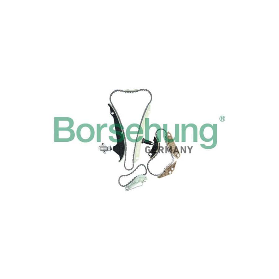 Borsehung B10223 Timing Chain Kit