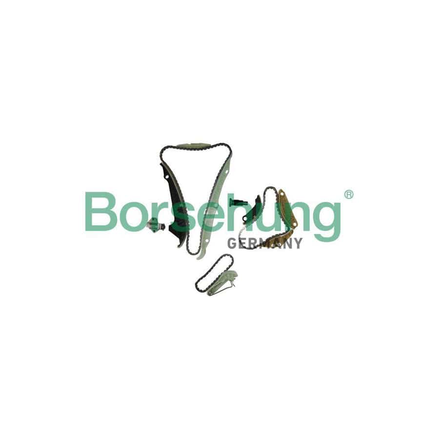 Borsehung B10222 Timing Chain Kit
