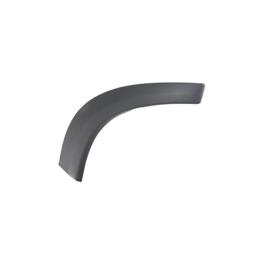Blic 5703-04-8179597P Trim / Protective Strip, Mudguard for Toyota Rav4 II Off-Road (Xa20)
