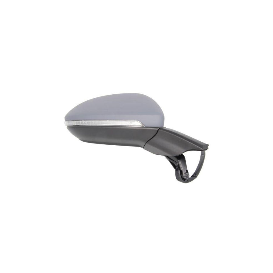 Blic 5402-01-2002648P Wing Mirror for VW Golf