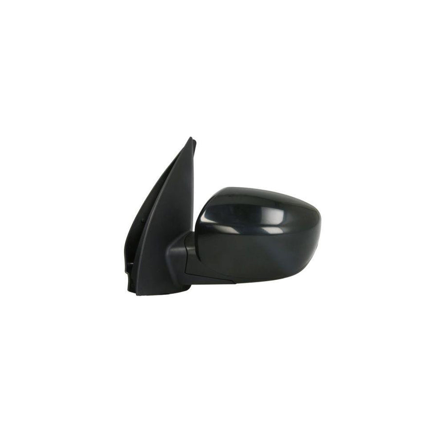Blic 5402-20-2001385P Wing Mirror for Hyundai I10 I (Pa)