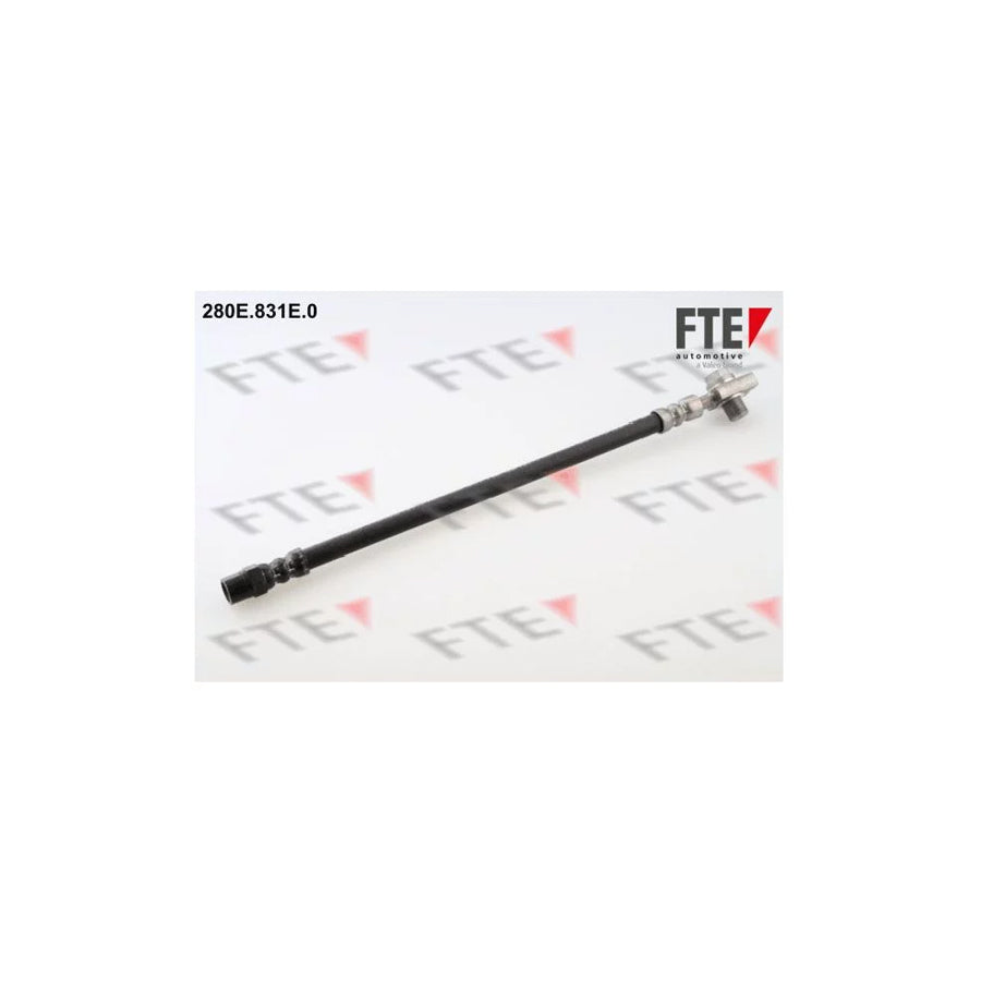 FTE 9240132 Brake Hose for Audi A8 D2 (4D2, 4D8)