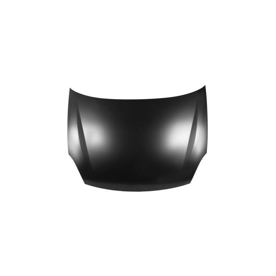 Blic 6803-00-6030280P Bonnet for Renault Symbol / Thalia II