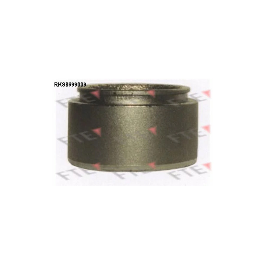FTE Rks8699009 Piston, Brake Caliper for Renault Master