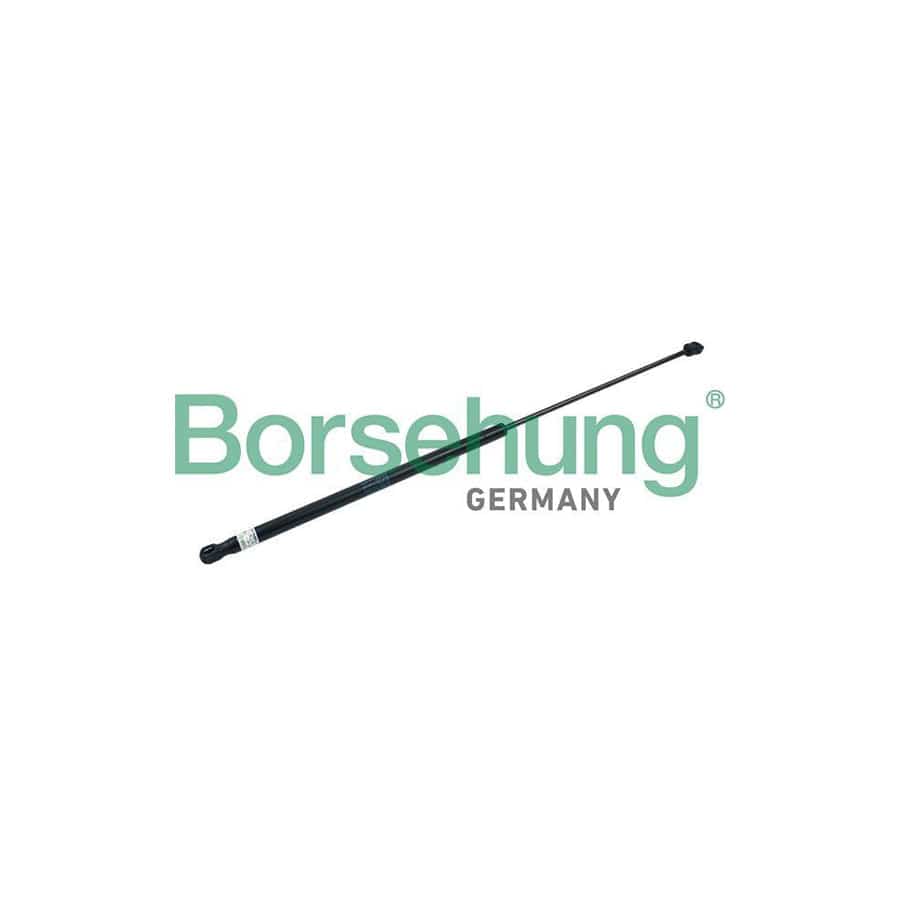 Borsehung B18427 Bonnet Strut for Audi A3