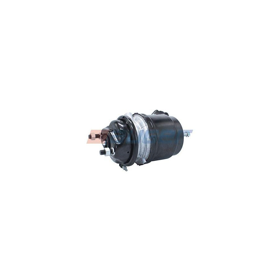 Auger 21181 Spring-Loaded Cylinder