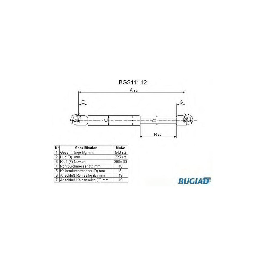 BUGIAD Bgs11112 Tailgate Strut for Mazda 3 Hatchback (Bk)