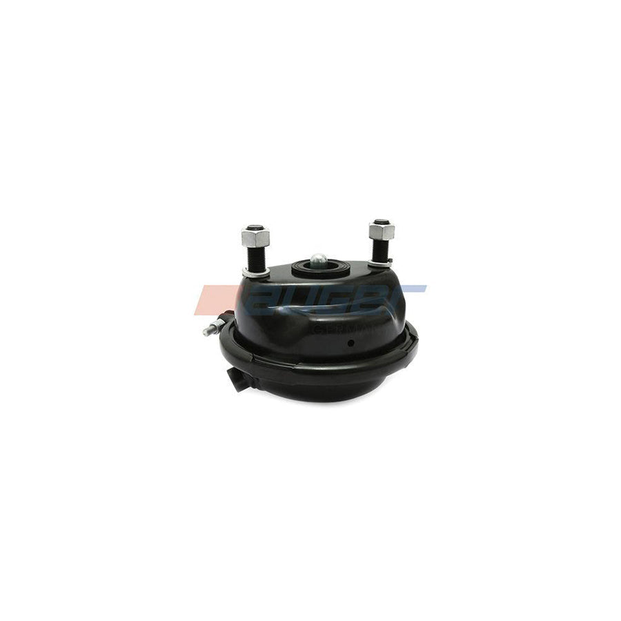 Auger 21211 Spring-Loaded Cylinder