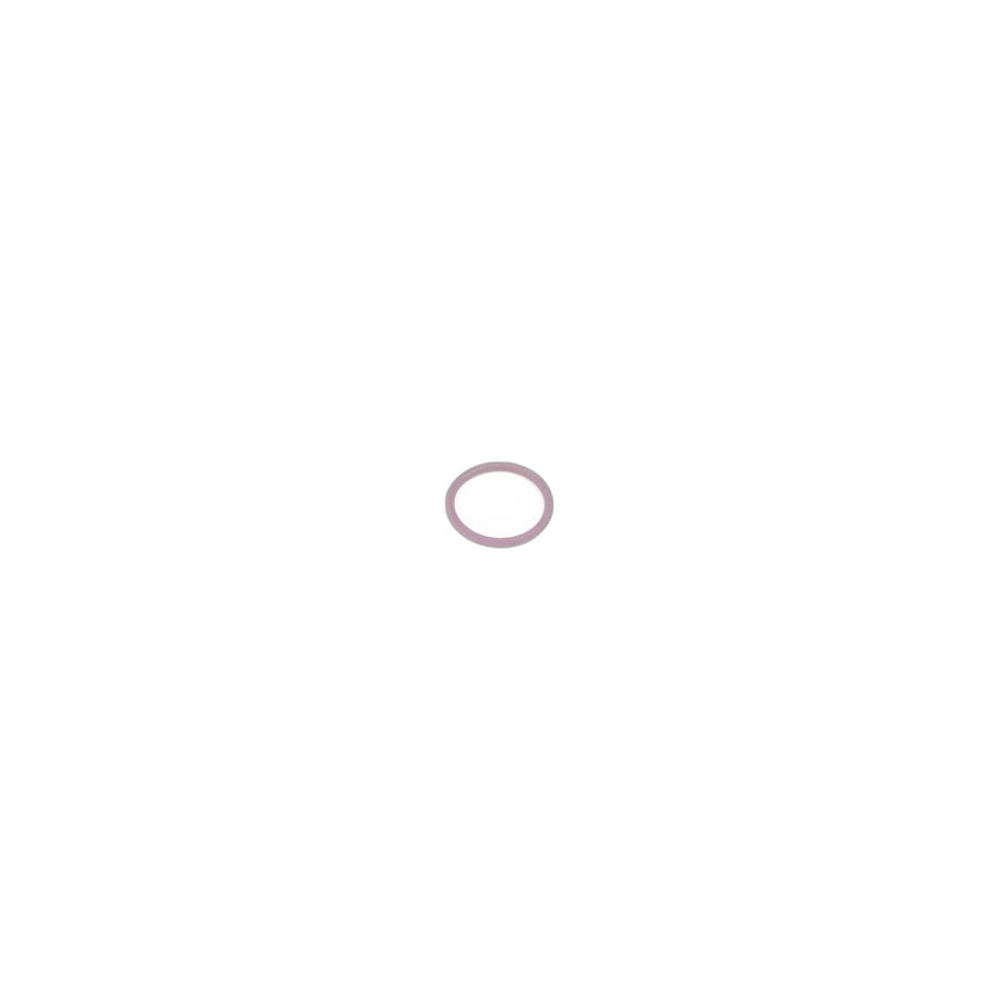 Genuine BMW Mini 07149197944 R56 Gasket Ring D=17,0 mm (Inc. One D)