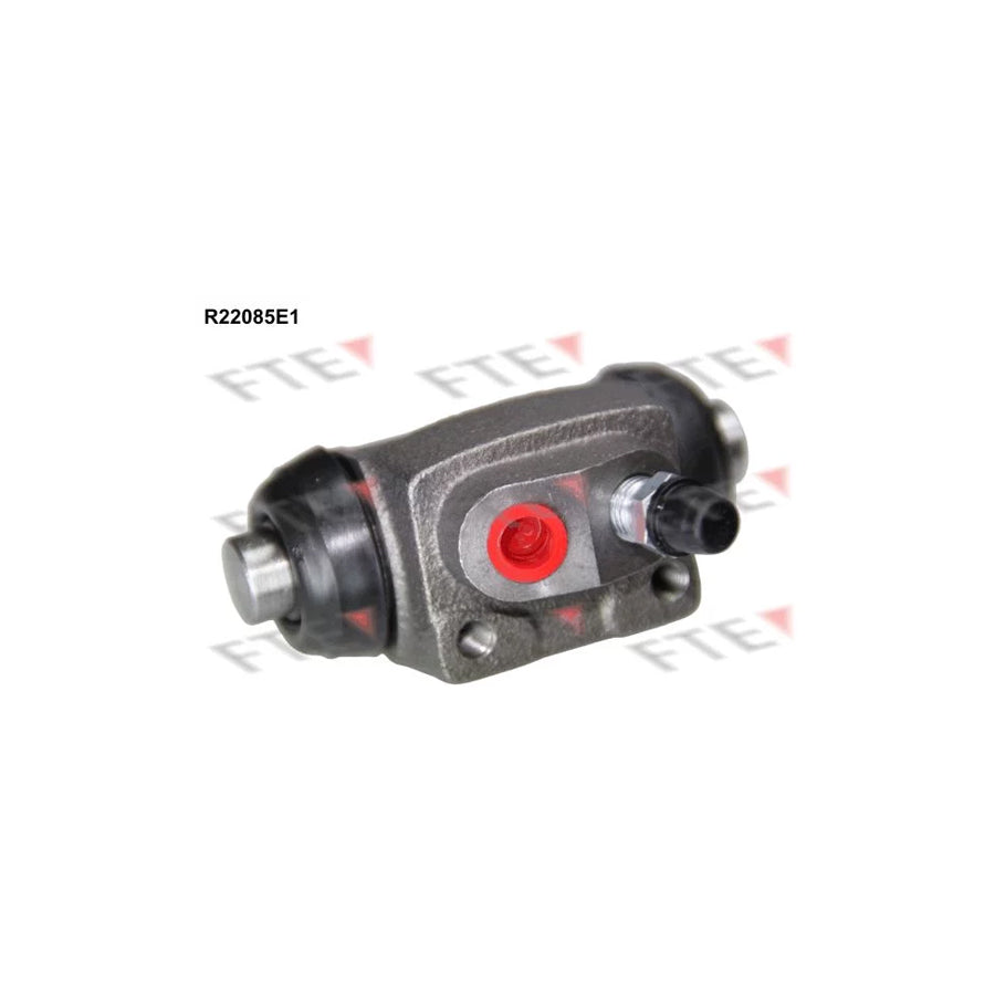 FTE R22085E1 Wheel Brake Cylinder