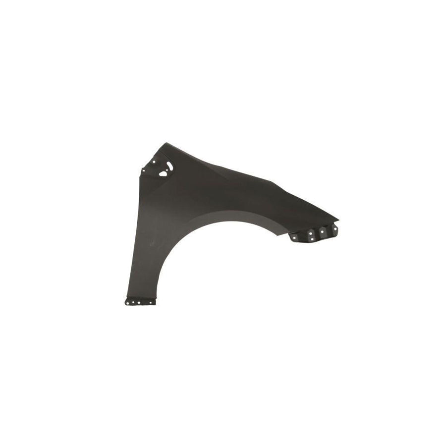 Blic 6504-04-8189312P Wing Fender