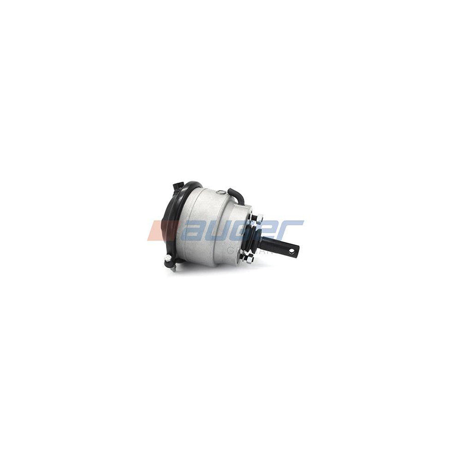 Auger 21250 Spring-Loaded Cylinder