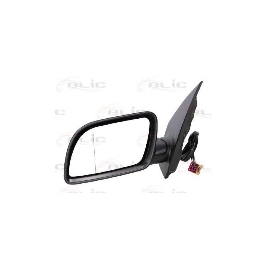 Blic 5402-04-1125119 Wing Mirror for VW Polo IV Hatchback (9N)